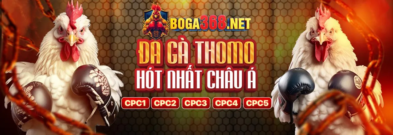 Ưu đãi chào mừng 8day