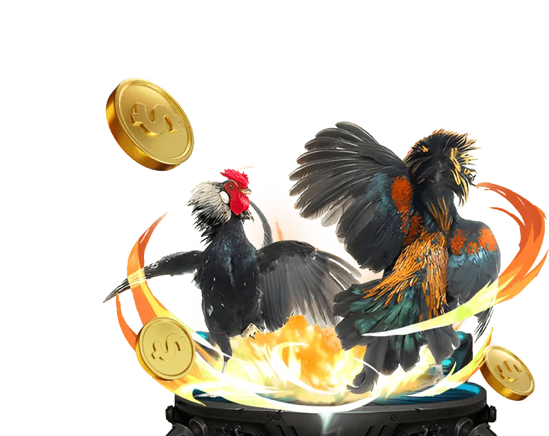 Nền tảng cá cược an toàn